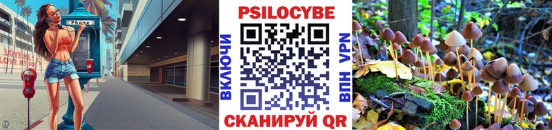Галлюциногенные грибы Psilocybine cubensis  Нолинск 